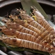 水産分野